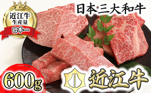 近江牛A5ランク厳選カットステーキ3種【600g】【DG03W】