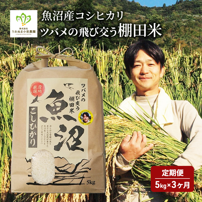 ツバメの飛び交う棚田米 5kg袋 3ヶ月連