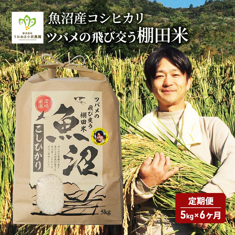 ツバメの飛び交う棚田米 5kg 袋 6ヶ月