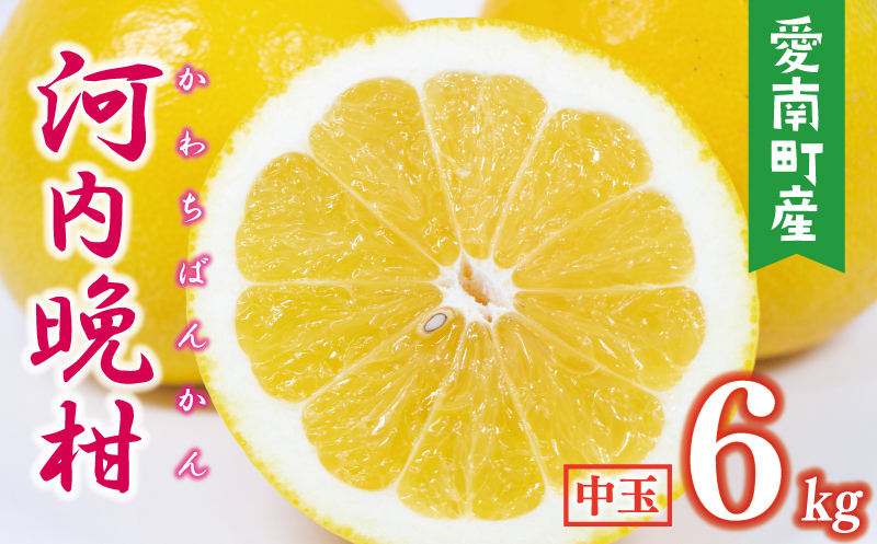 yQ쒬zʌ s\ ͓ӊ  25Nȏ  6kg i L E 2LTCY j 8000~ ݂ mikan  ~J 킿΂񂩂 S[h Ȃ S[h U h a O[vt[c Yn Y _ƒ Ԍ Yi [[ W[X AC