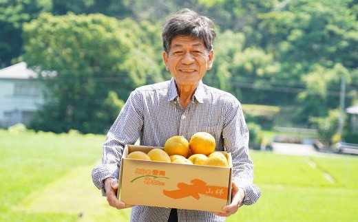 訳あり みかんの山祥が贈る 樹齢25年以上の河内晩柑 中玉 6kg L～2Lサイズ （サイズミックス） みかん 蜜柑 河内晩柑 愛南ゴールド 果物 フルーツ 柑橘 ゼリー ジュース みかんの山祥 愛南町 愛媛県