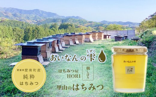 里山のはちみつ ～あいなんの雫～ 450g 発送時期:2025年5月～(なくなり次第終了)