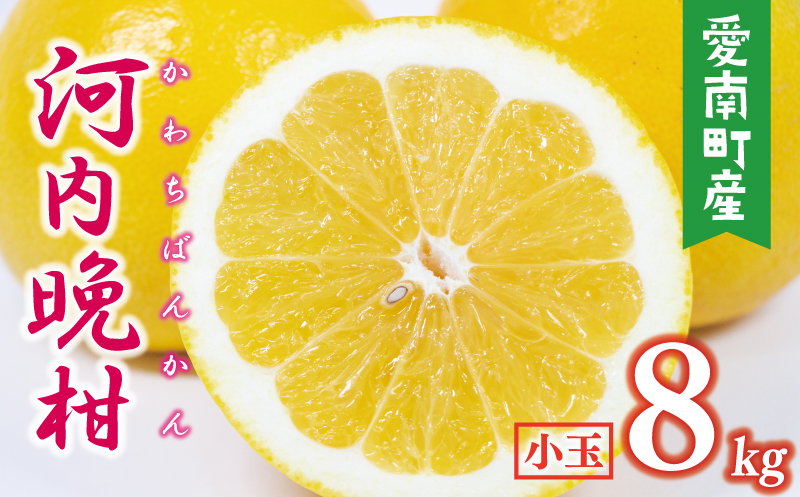 数量限定 先行予約 河内晩柑 樹齢 25年以上 小玉 8kg （ Mサイズ ） 9000円 みかん mikan 蜜柑 ミカン かわちばんかん 愛南ゴールド あいなん ゴールド 文旦 派生 和製 グレープフルーツ 産地直送 国産 農家直送 期間限定 特産品 ゼリー ジュース アイス 等に 人気 限定 甘い さわやか フルーツ 果物 柑橘 蜜柑 みかんの山祥 愛南町 愛媛県