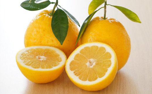 数量限定 先行予約 河内晩柑 樹齢 25年以上 小玉 8kg （ Mサイズ ） 9000円 みかん mikan 蜜柑 ミカン かわちばんかん 愛南ゴールド あいなん ゴールド 文旦 派生 和製 グレープフルーツ 産地直送 国産 農家直送 期間限定 特産品 ゼリー ジュース アイス 等に 人気 限定 甘い さわやか フルーツ 果物 柑橘 蜜柑 みかんの山祥 愛南町 愛媛県