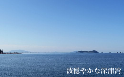 ふかうら真鯛のぶっかけ鯛丼（１食100ｇ×５パック） 漬け丼  ごまだれ タイ 魚 海鮮 丼 マダイ 鯛 丼 深浦 お食い初め ハマスイ 愛媛県 愛南町