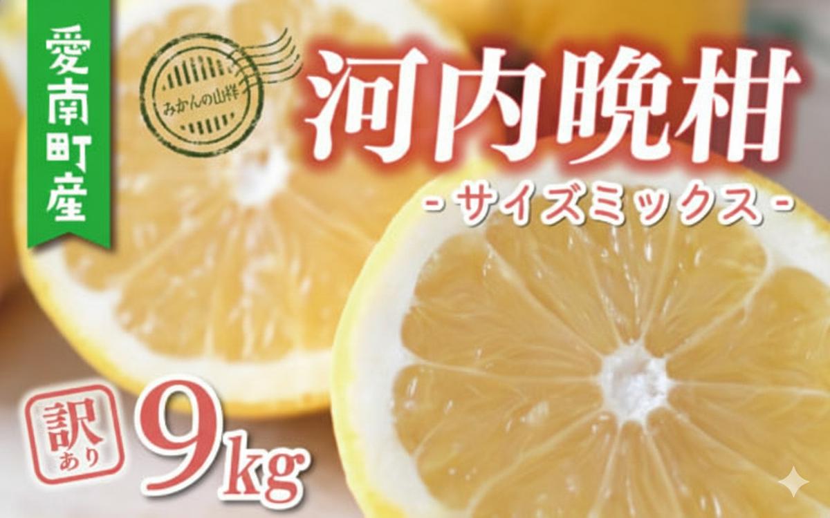 �y���Q�����쒬�z���ʌ��� ��s�\�� �͓��ӊ� ���� 25�N�ȏ� �󂠂� 9kg �i M�T�C�Y �ȏ� �j 9000�~ �݂��� mikan ���� �~�J�� �킯���� ���킿�΂񂩂� ����S�[���h �����Ȃ� �S�[���h ���U �h�� �a�� �O���[�v�t���[�c �Y�n���� ���Y �_�ƒ��� ���Ԍ��� ���Y�i �[���[ �W��