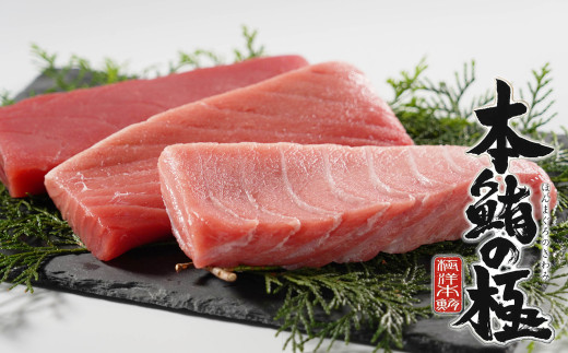 養殖生本鮪大トロ・中トロ・赤身セット（約1kg） 発送期間: 1月10日～12月20日