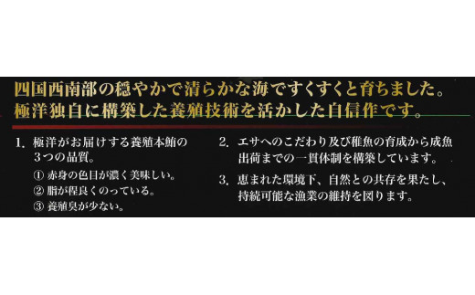 養殖生本鮪大トロ・中トロ・赤身セット（約1kg） 発送期間: 1月10日～12月20日