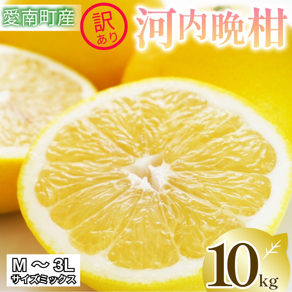 【愛媛県愛南町】【 2026年 先行予約 】 訳あり 河内晩柑 10kg サイズミックス 家庭用 樹齢 20年 以上 古木 和製 グレープフルーツ 愛南ゴールド 直送  フルーツ 人気 柑橘 爽やか 甘み ジューシー 果汁 旬の果物 くだもの みかん サイズ不揃い 産地直送 農園直送 春 味覚 初