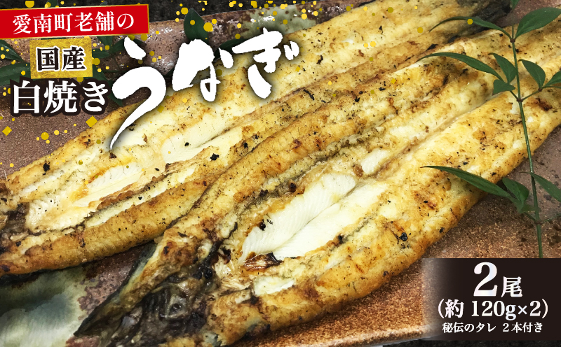 【愛媛県愛南町】国産 うなぎ 手焼き 白焼き 2本 ( 1本 約120g / 合計 約240g ) 鰻 白焼 秘伝の タレ 山椒 付き セット うな重 ひつまぶし うな丼 わさび ギフト 贈答 贈り物 お中元 お歳暮 父の日 土用の丑の日 冷凍 老舗 お食事処 亀一 愛媛県 愛南町 高級 海鮮 魚介