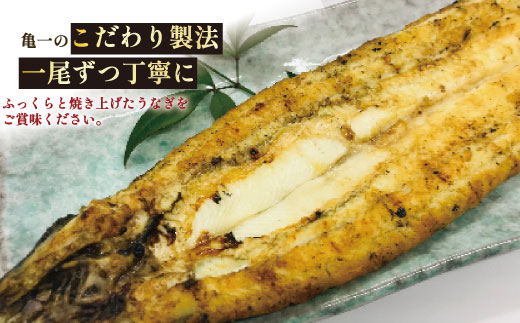 国産 うなぎ 手焼き 白焼き 2本 ( 1本 約120g / 合計 約240g ) 鰻 白焼 秘伝の タレ 山椒 付き セット うな重 ひつまぶし うな丼 わさび ギフト 贈答 贈り物 お中元 お歳暮 父の日 土用の丑の日 冷凍 老舗 お食事処 亀一 愛媛県 愛南町 高級 海鮮 魚介