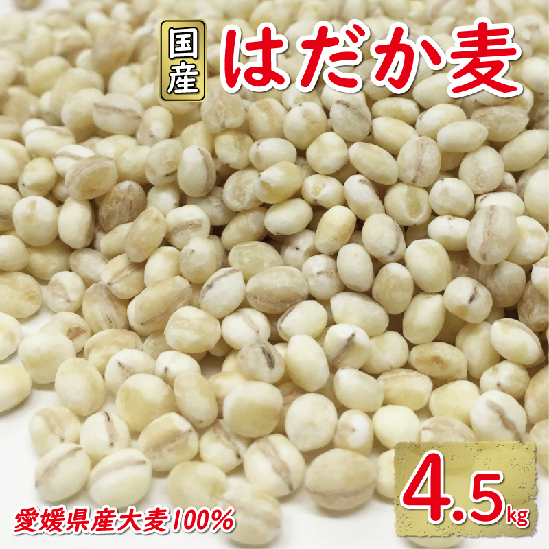 【愛媛県愛南町】はだか麦 900g 5個セット 10000円 国産 大麦 麦 麦ごはん むぎごはん 水溶性 食物繊維 腸内環境 ダイエット 健康 マルヤス味噌 愛南町 愛媛県