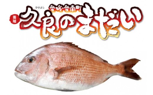 yQ쒬zv  ܂ 2 v 3kg ȏ 15000~ ^  ^C 2C hg hg {B   N ①    CN N CN  }_C NNn j ̓ ̓ hV̓ a Ď g  ߂ł vǋƋg 