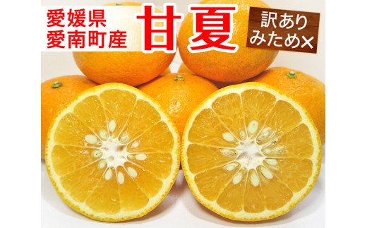 【訳あり】清家ばんかんビレッジの甘夏柑10kg