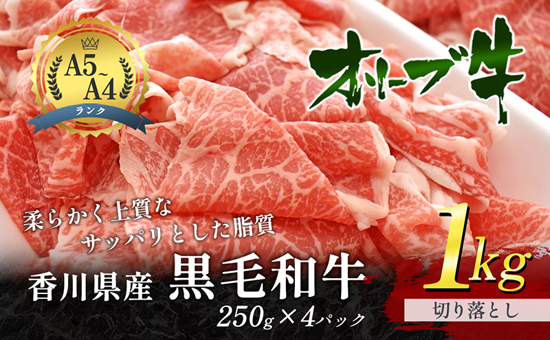 【ふるさと納税で牛肉の切り落とし】香川県産の黒毛和牛オリーブ牛の切落し1kg（小分け250g×4パック）【牛肉・冷凍・和牛・1キロ・A5・国産牛・お肉・お取り寄せ】
