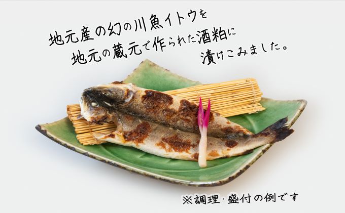 幻の魚イトウの酒粕漬（安東水軍）3匹×2パック 魚貝類 漬魚 粕漬け 