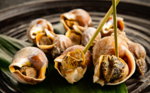 10-536 【年内配送12月15日入金まで】エゾばい貝(磯ツブ)『醤油煮』900g（300g×3） within2025