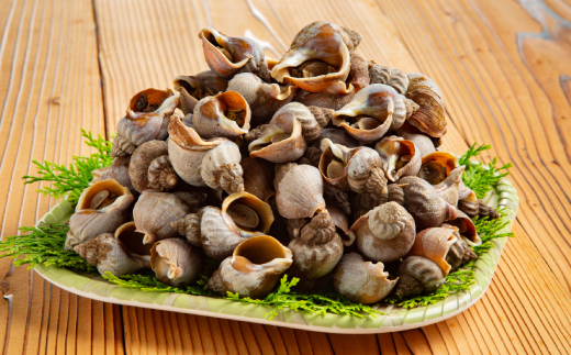 10-536 【年内配送12月15日入金まで】エゾばい貝(磯ツブ)『醤油煮』900g（300g×3） within2025