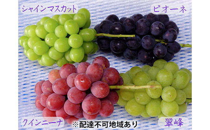 yRszoGeB Zbg 3`4[ 2kg sY 2026N s\ ΂Ԃǂ  t[c R ʕ ʕ l