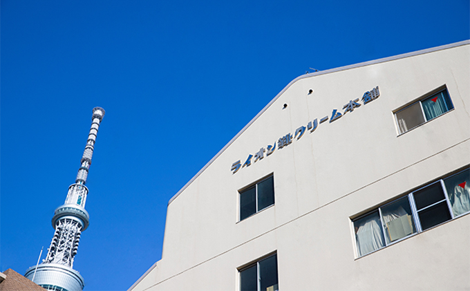 靴磨き ライオン靴クリーム本舗 エクセレントシューケアボックス シューケア 手入れ セット クリーム クリーナー 馬毛ブラシ 豚毛ペネトレイトブラシ 白豚毛ブラシ ライオン靴クリーム 磨き用クロス ファッション 靴 シューズ 