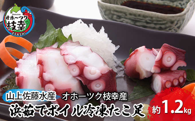 福田（たこ焼きオッパ） ロープロ版 roBa 組立済み完成品 Amazon.co.jp: Mould King 13197 海賊船モデルブロックキット