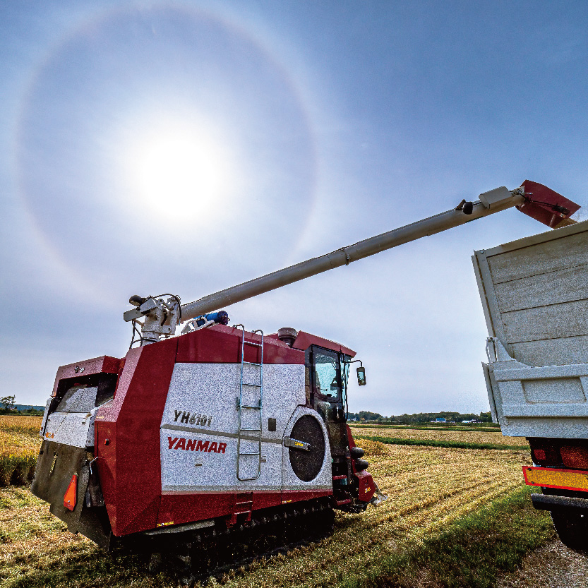 令和7年産 特Aランク米 ななつぼし 精米 20kg（5kg×4袋）雪冷気 籾貯蔵 北海道 雪中米