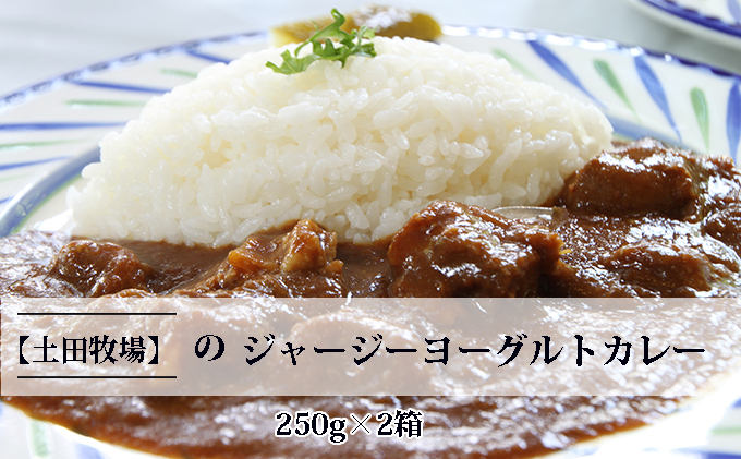 ジャージーヨーグルトカレー 250g×2箱 加工食品 惣菜 レトルト インスタント 