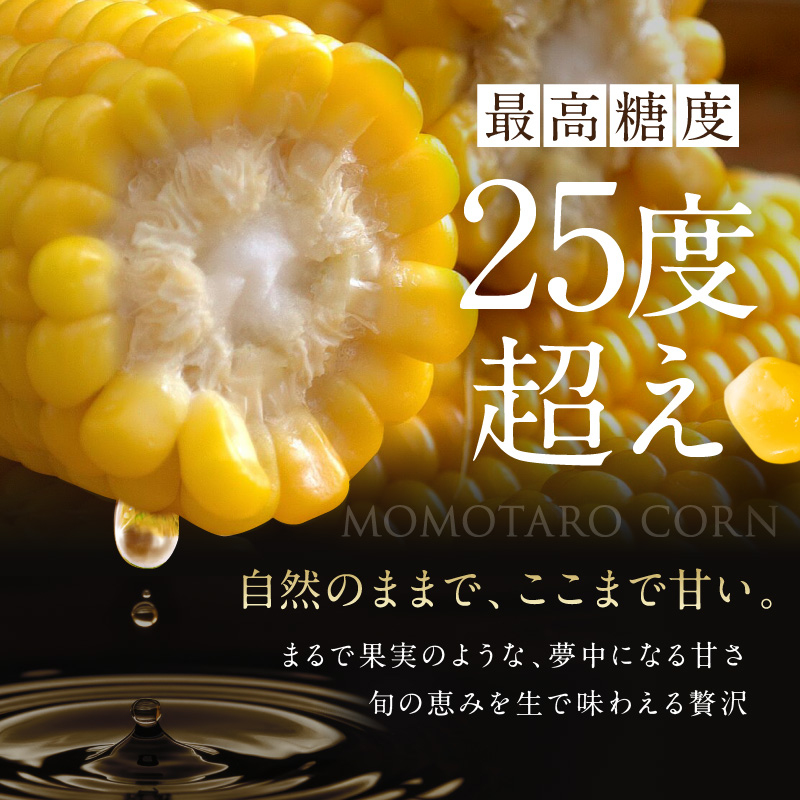 岡山県瀬戸内市のふるさと納税 ［2026年先行予約］牛窓産とうもろこし まるでフルーツ！最高糖度25度超え 生で甘い、茹でて美味い！ 黄色 とうもろこし 「桃太郎コーン」約4kg（8～12本入り） 野菜