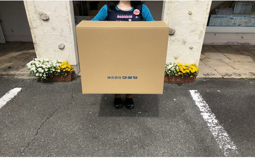 ふとん打ち直し　抗菌抗ウイルスフルテクト加工生地　みず穂柄　２枚組【CW89W】