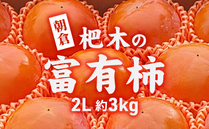 柿 かき 富有柿 3kg 2L サイズ 10～12個入り 朝倉 杷木の富有柿 カキ フルーツ 果物 果物類 