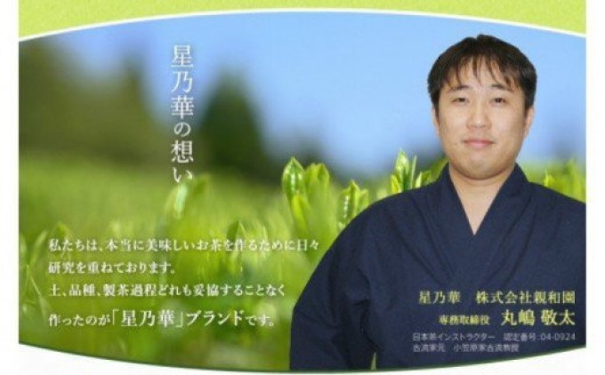 八女茶 訳あり品 深蒸し茶 1100g（100g×11袋） お茶 緑茶 健康 甘味 グリーンティー 