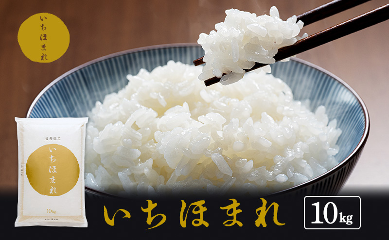 【福井県若狭町】米 いちほまれ 10kg 新米 精米 白米 お米 米 おこめ こめ コメ ご飯 ブランド米 令和7年産 福井 福井県 若狭町
