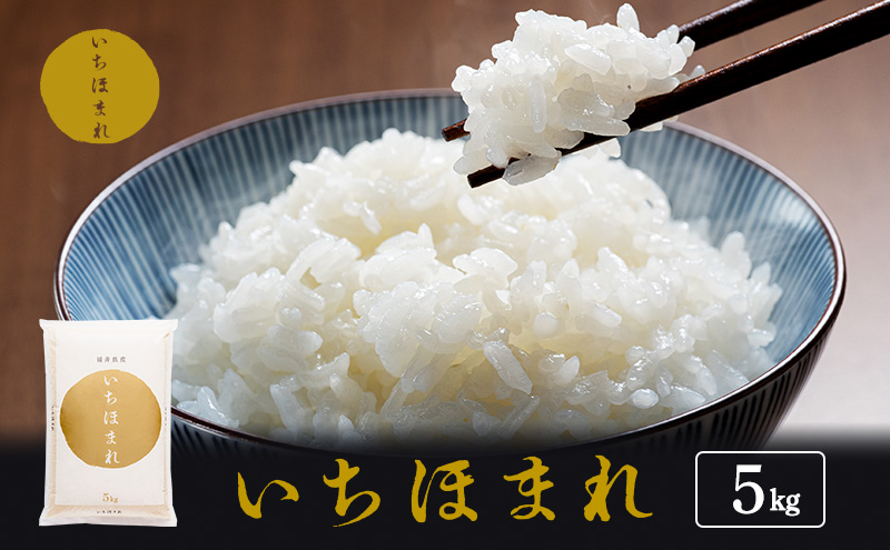 【福井県若狭町】米 令和7年産 いちほまれ 5kg 福井 高級ブランド米 お米 おこめ コメ こめ 白米 精米 ご飯 ごはん 福井県
