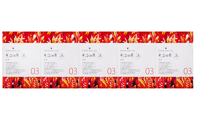 直茶発祥の地からお届け「宇治田原紅茶」50g×5袋〈お茶 茶 紅茶 茶葉 飲料 フルーティー 加工食品〉 