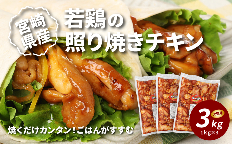 宮崎県木城町のふるさと納税 宮崎県産若鶏の照り焼きチキン K16_0059_2