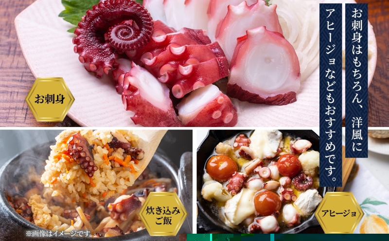 北海道 煮たこ足 2本 約1.2kg 刺身用 蛸 たこ タコ 水たこ 北海道産 大陸棚 海鮮 海産物 魚介 魚貝 煮たこ たこ足 海の幸 料理 新鮮 刺身 たこ焼き 便利 冷凍 お取り寄せ グルメ ギフト お土産 パーティー 送料無料 魚貝類 