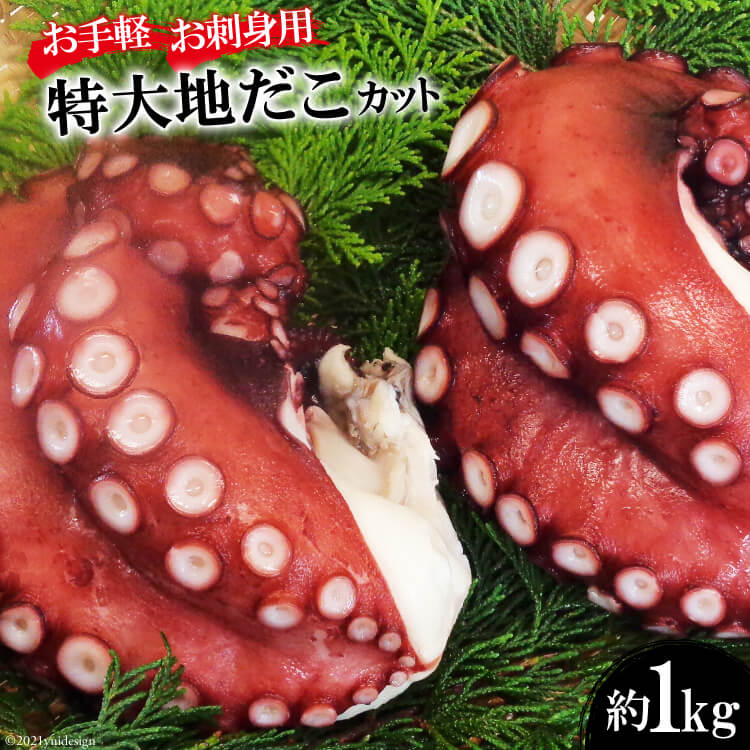 長崎県島原市のふるさと納税 DF083【お手軽 お刺身用】長崎県産 特大地だこ カット　約1kg