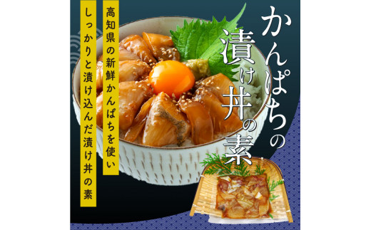 KYF107　海鮮 漬け丼 3種類 食べ比べセット 真鯛 ぶり かんぱち 支援 冷凍 保存食 海鮮 小分け パック 漬け 本場 高知 海鮮丼 パパッと 簡単 惣菜 そうざい 一人暮らし 人気 6000円 〈高知市共通返礼品〉