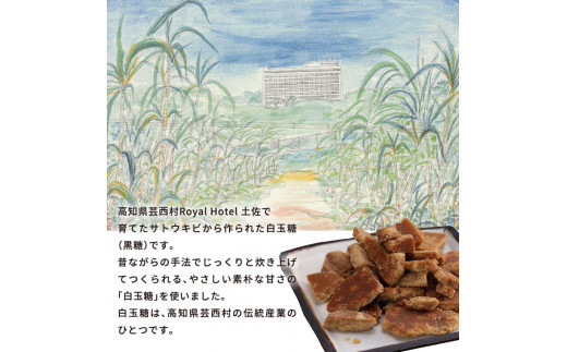RHT019　芸西村の伝統産業である白玉糖（黒糖）を使った「 白玉糖生食パン」1斤×2包＜香南市共通返礼品＞
