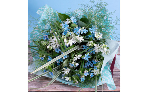 JJM002　《先行予約》芸西村特産ブルースター花束（約30本程度の花束）