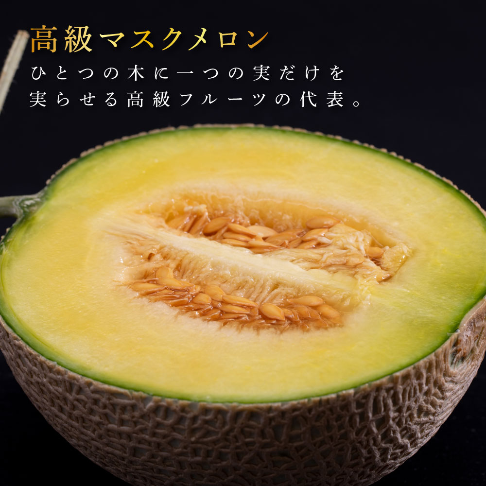 SKS025　緊急支援　高知県産 高級マスクメロン＆小玉スイカセット〈南国市共通返礼品〉　【1月～3月は気候温度不安定の為出荷不可となります。】