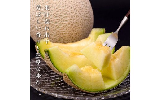 SKS025　緊急支援　高知県産 高級マスクメロン＆小玉スイカセット〈南国市共通返礼品〉　【1月～3月は気候温度不安定の為出荷不可となります。】