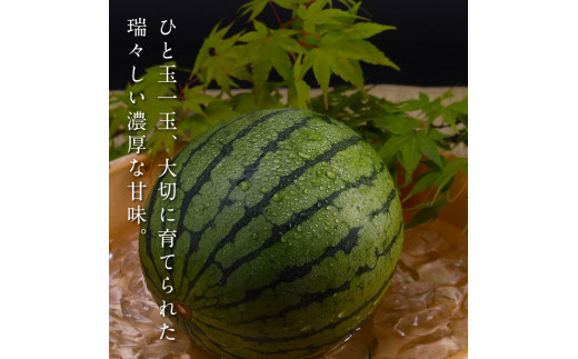 SKS025　緊急支援　高知県産 高級マスクメロン＆小玉スイカセット〈南国市共通返礼品〉　【1月～3月は気候温度不安定の為出荷不可となります。】