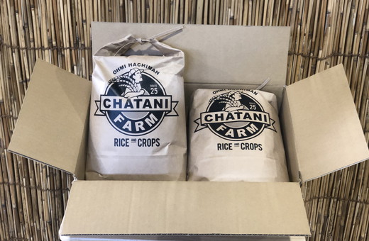 【新米】【7年産】近江米　コシヒカリ 白米【10kg（5kg×2袋）】【V012W】