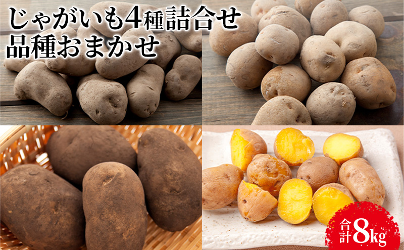じゃがいも4種詰合せ（品種おまかせ合計8kg）【十勝幕別 北海道ホープランド農場】 野菜 セット 