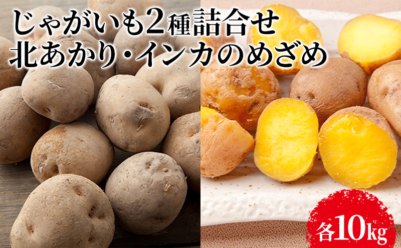 じゃがいも2種詰合せ（北あかり10kg・インカのめざめ10kg）【十勝幕別 北海道ホープランド農場】 野菜 セット 