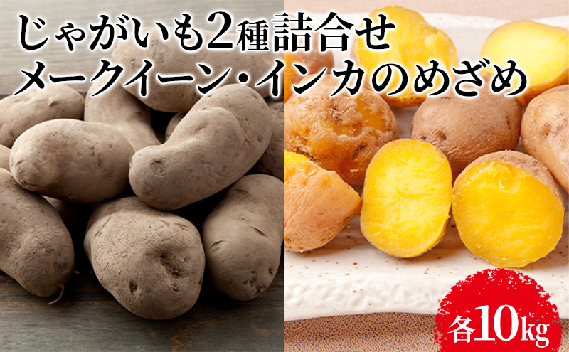 じゃがいも2種詰合せ（メークイン10kg・インカのめざめ10kg）【十勝幕別 北海道ホープランド農場】 野菜 セット 