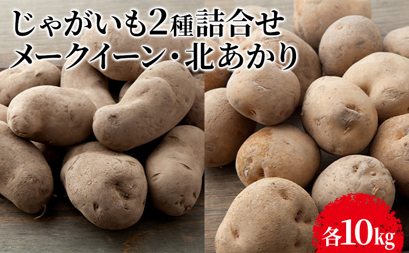 じゃがいも2種詰合せ（メークイン10kg・北あかり10kg）【十勝幕別 北海道ホープランド農場】 野菜 セット 