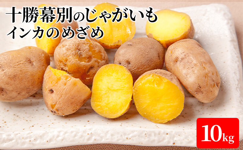 十勝幕別のじゃがいも10kg（インカのめざめ）【北海道ホープランド農場】 野菜 