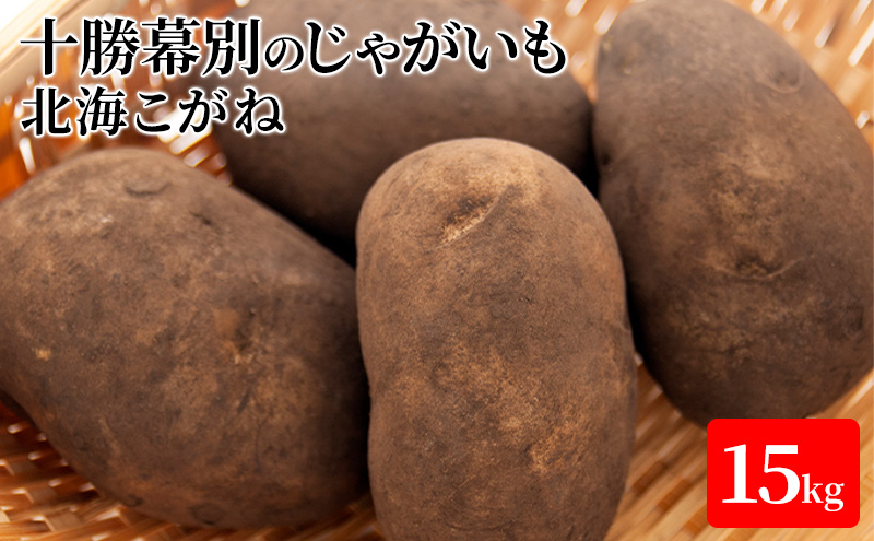 十勝幕別のじゃがいも15kg（北海こがね）【北海道ホープランド農場】 野菜 